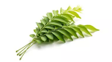 garnishing-instructions-image